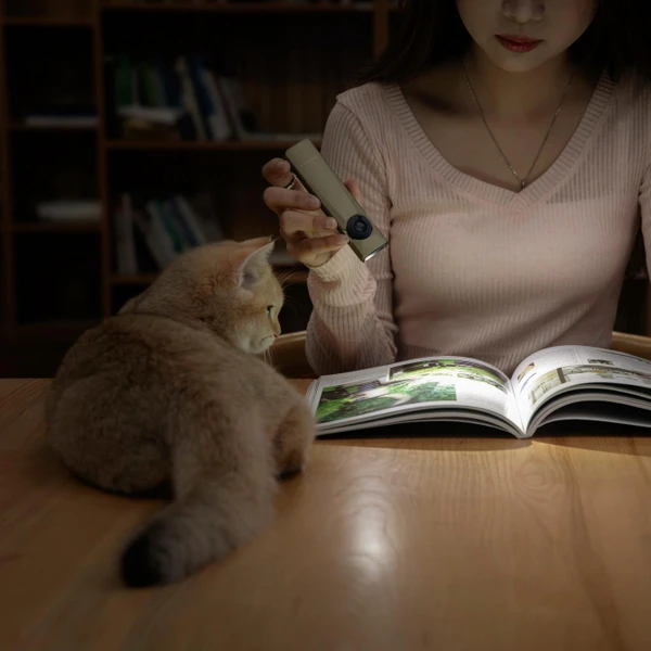 Arkfeld Ultra Class 1 - Olight Japan