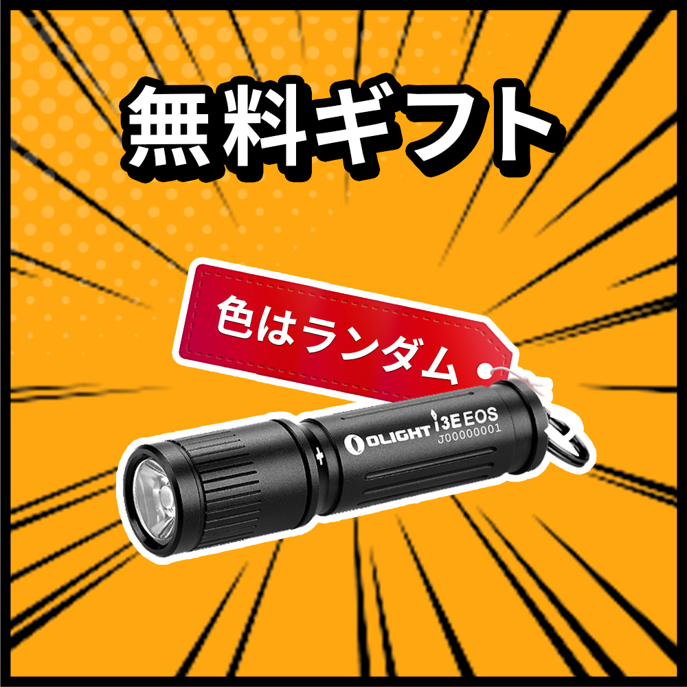 i3E EOS 小型懐中電灯 ハロウィンゴースト キーライト 90ルーメン 単4