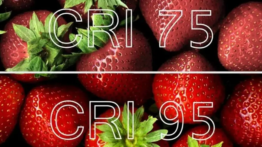 CRI75とCRI95の照明下でのいちごの色比較。CRI95がいちご本来の色をより鮮やかに再現。