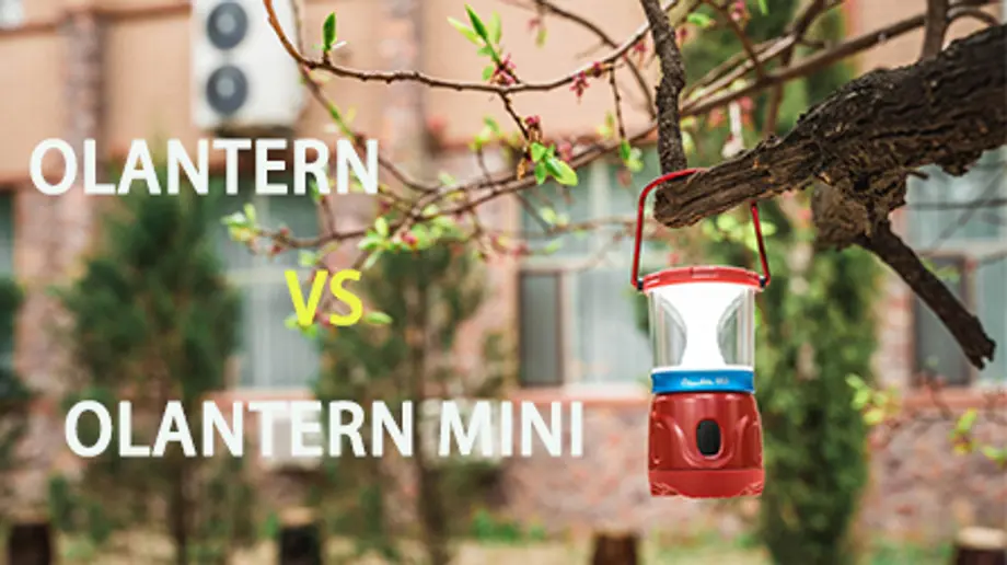 【製品比較】Olantern VS Olantern Mini