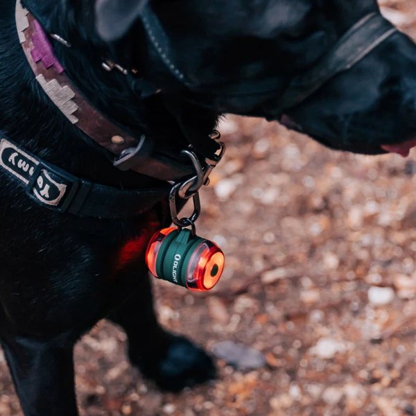 Olight Gober Kit 細長く オレンジ 安全警告灯