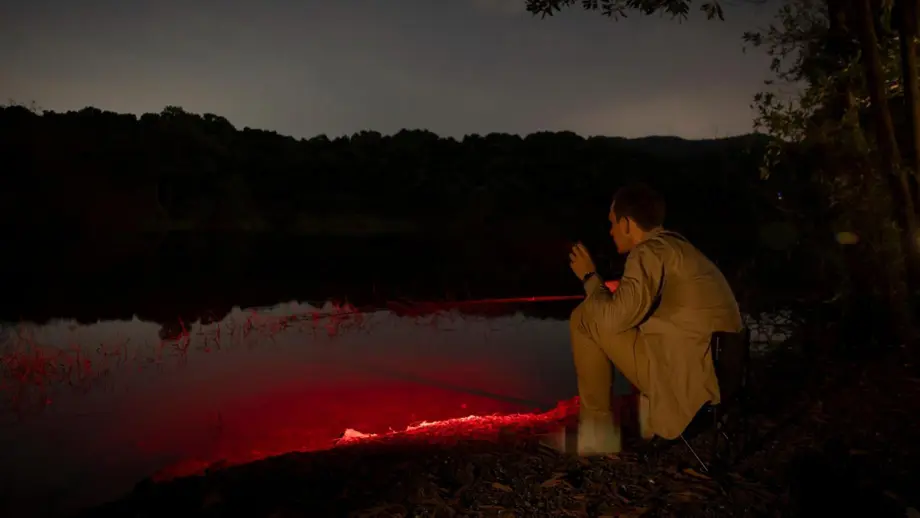 夜釣りの必須アイテム！釣り用ヘッドライトの選び方
